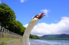 雲のタバコですよ～　プハー