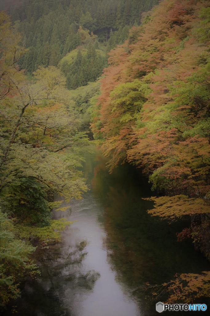 奥日光　紅葉狩り