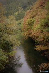 奥日光　紅葉狩り