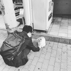人生相談 　君には幸運の手相がでてますにゃ～頑張れるにゃ～　たぶん。。。