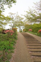葉桜坂
