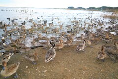 今日はなんかにぎわっているね～