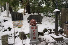 ひっぱりダコも今日はひっぱりダコでない
