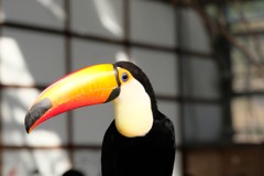 こんにちわ