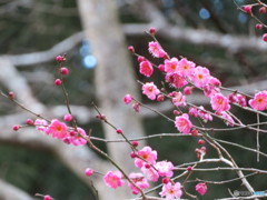 春の気配
