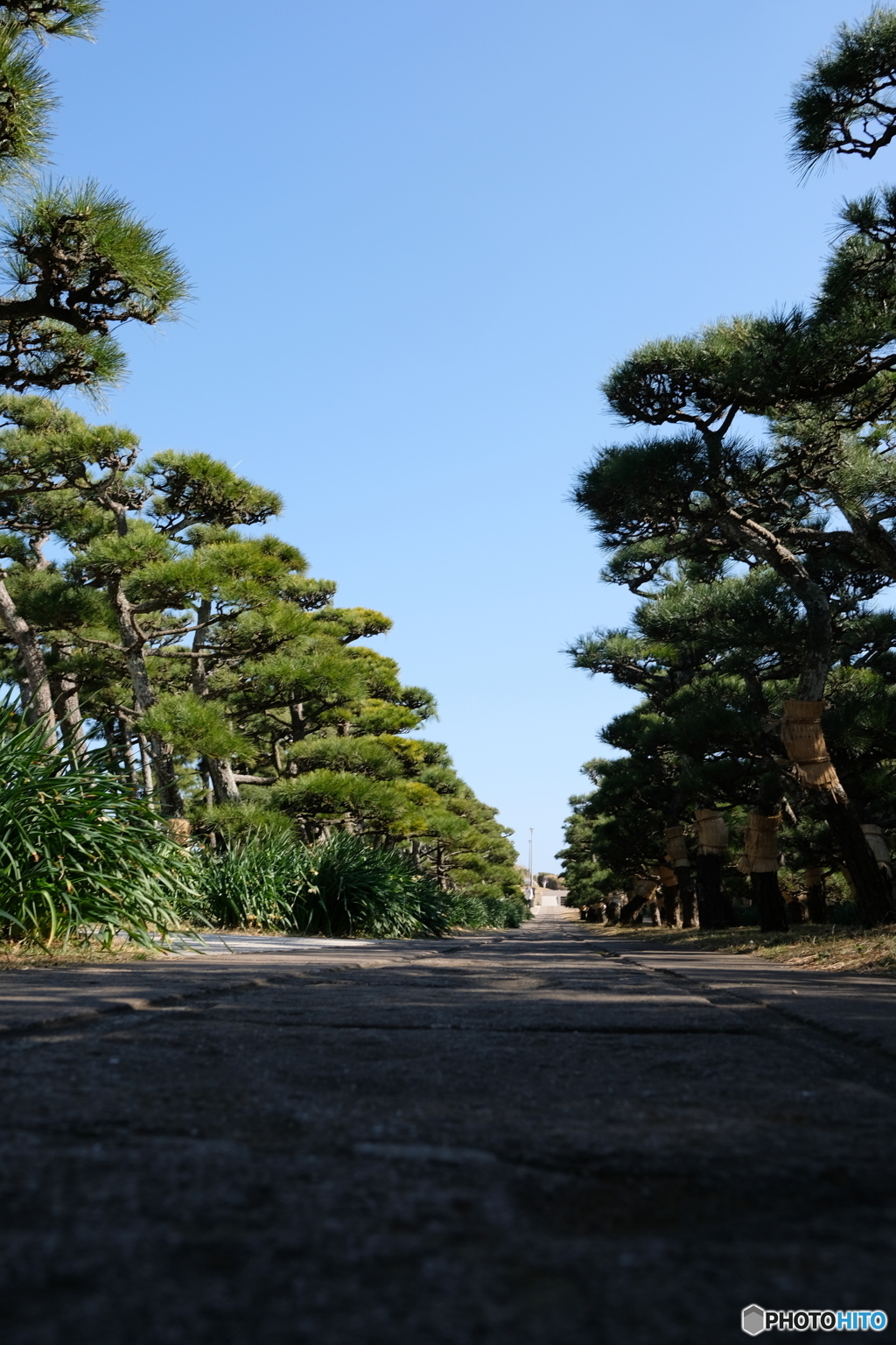 三浦　城ケ島　2018