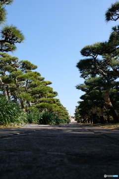 三浦　城ケ島　2018