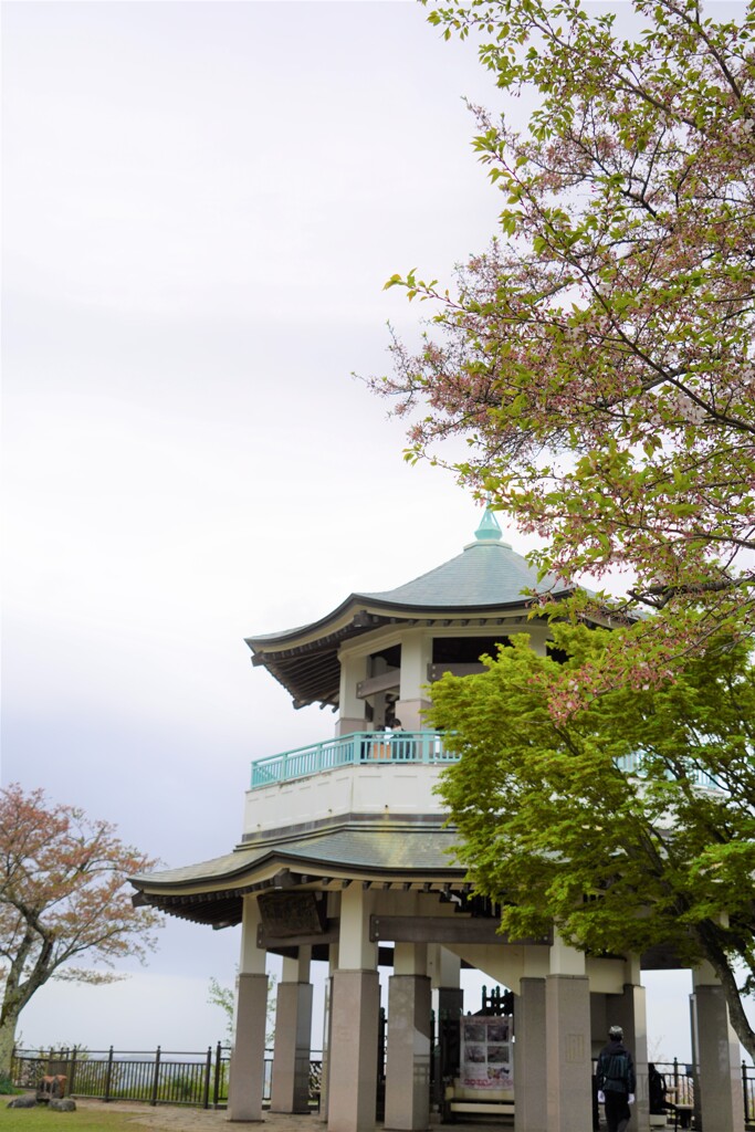 葉桜