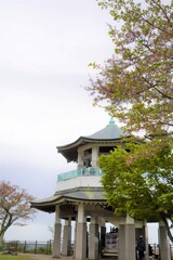 葉桜