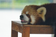 あちい～