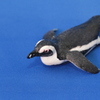 ペンギン