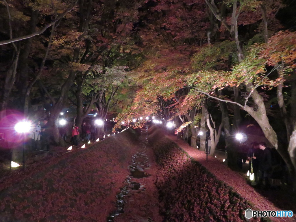 紅葉祭り