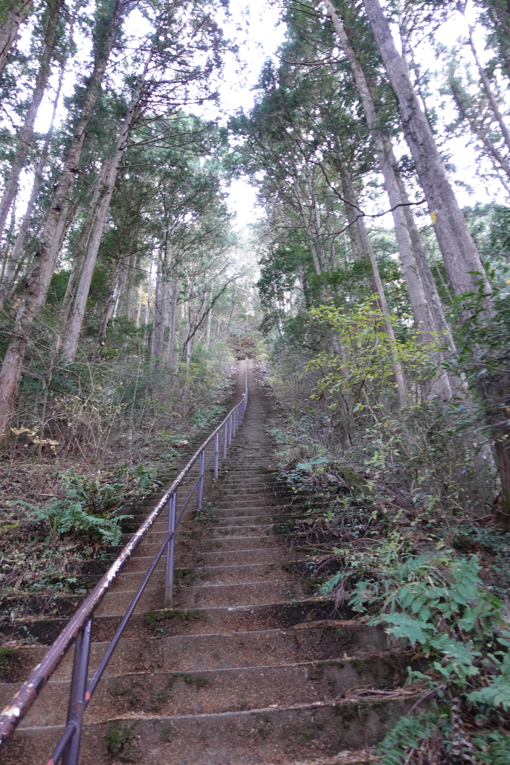 急な階段
