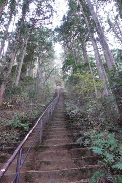 急な階段