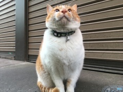 上から目線