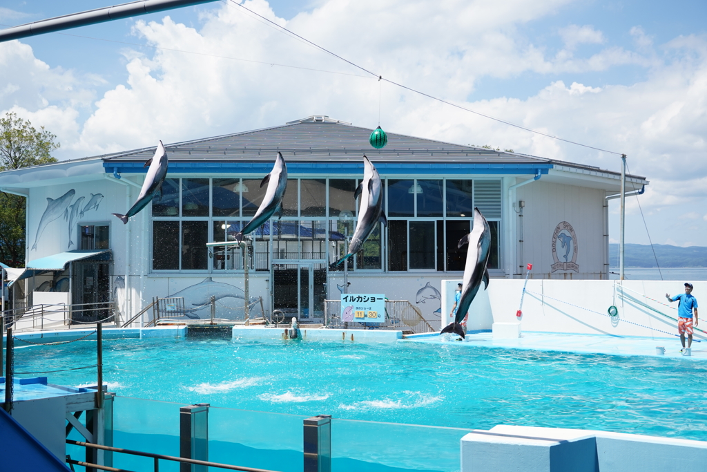 七尾の水族館