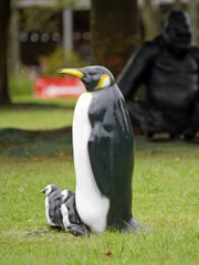 ペンギンも固まる