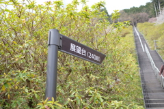 階段が結構あった