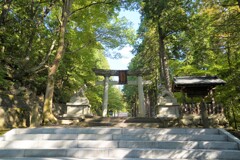 君の名はのあの神社です