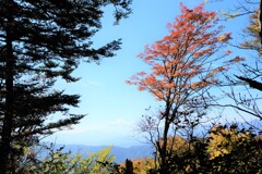 富士山もきれい