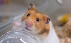 まじっすか！！