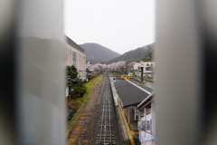 のぞき見さくら