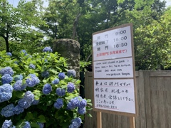 閉園中でした