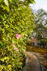 京都にて