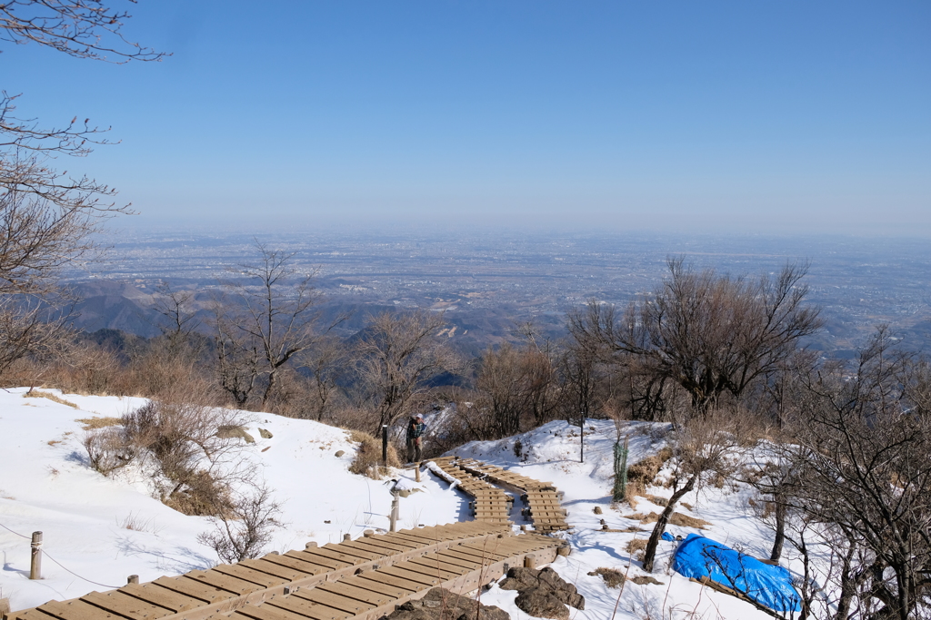 大山からの相模湾