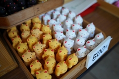 仁和寺にて