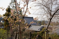 京都にて