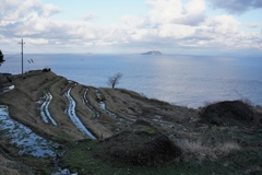 千枚田