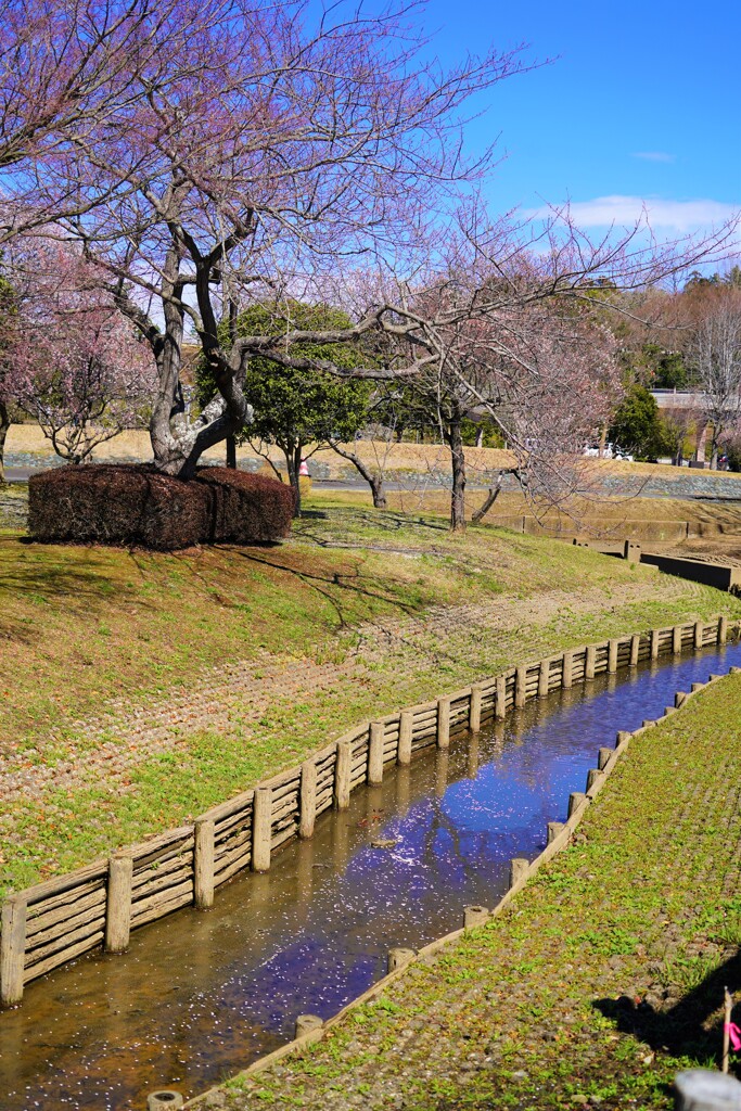 うめの水路