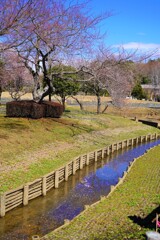 うめの水路