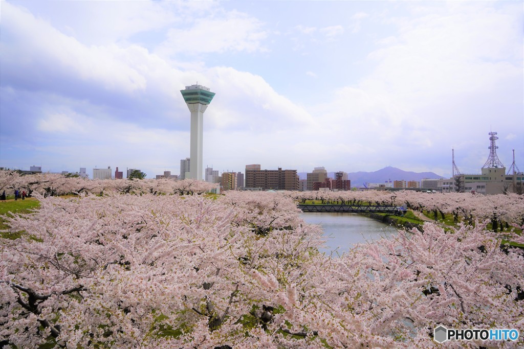 五稜郭
