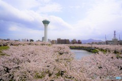 五稜郭