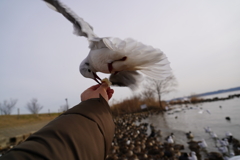 ちょっと　くださいな。。