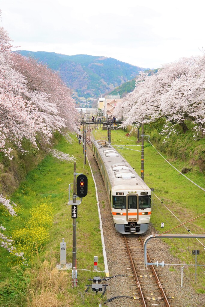 山北にて