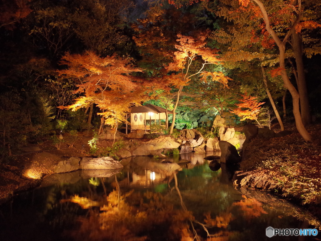 六義園　紅葉
