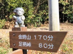 金時山はあっち！