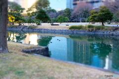 浜離宮恩賜庭園