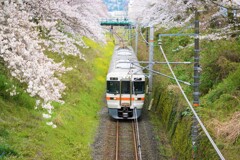 山北にて