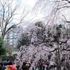 六義園