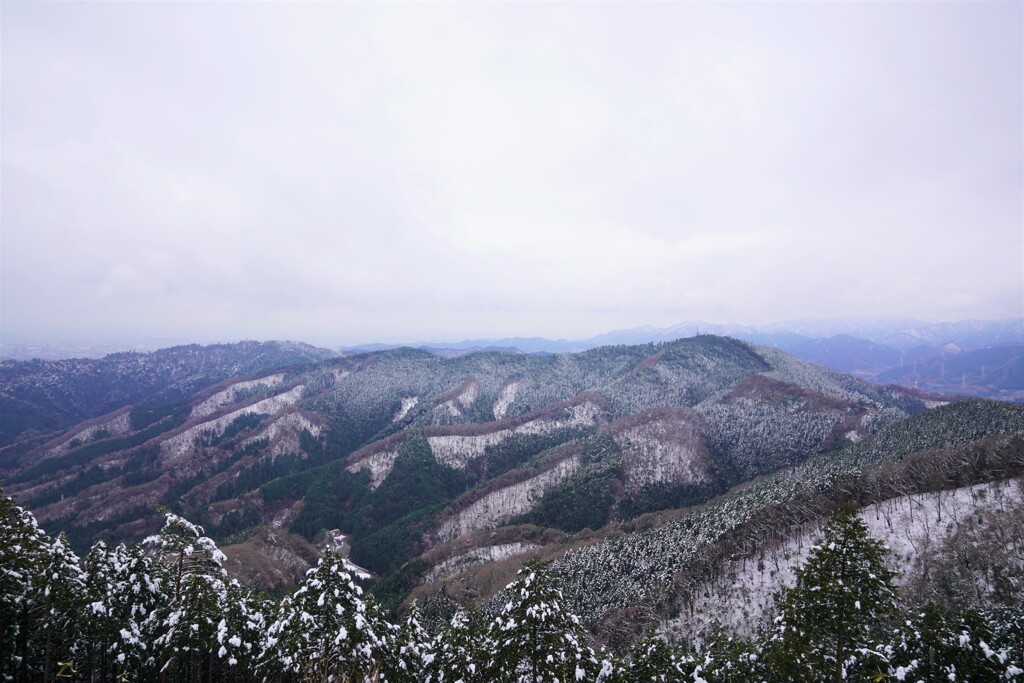 景信山より