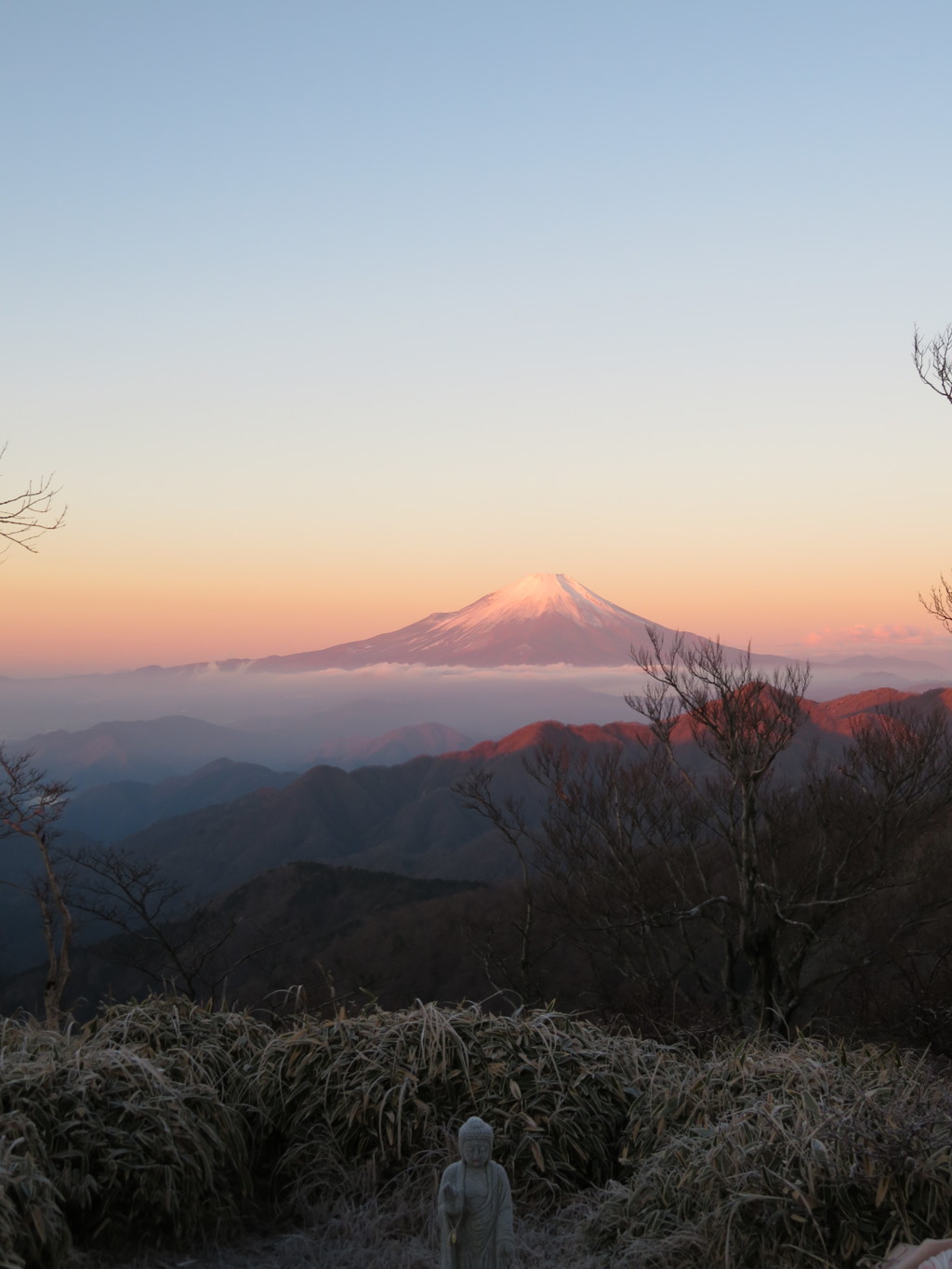 紅富士