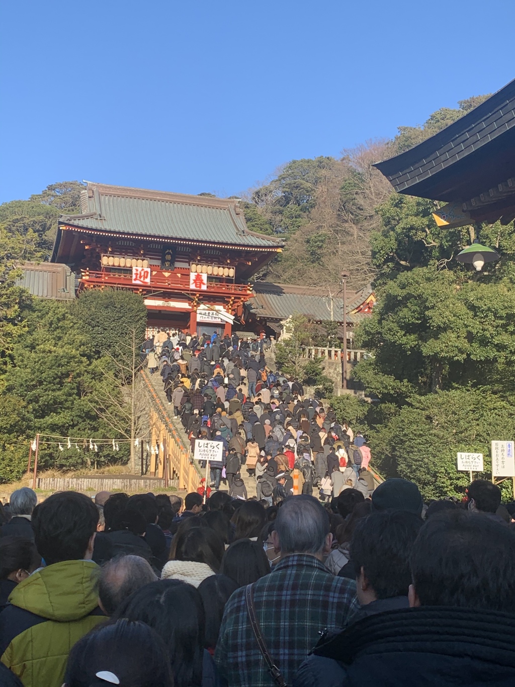 鶴岡八幡宮は大混雑
