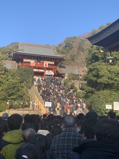 鶴岡八幡宮は大混雑