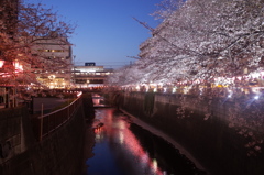目黒川