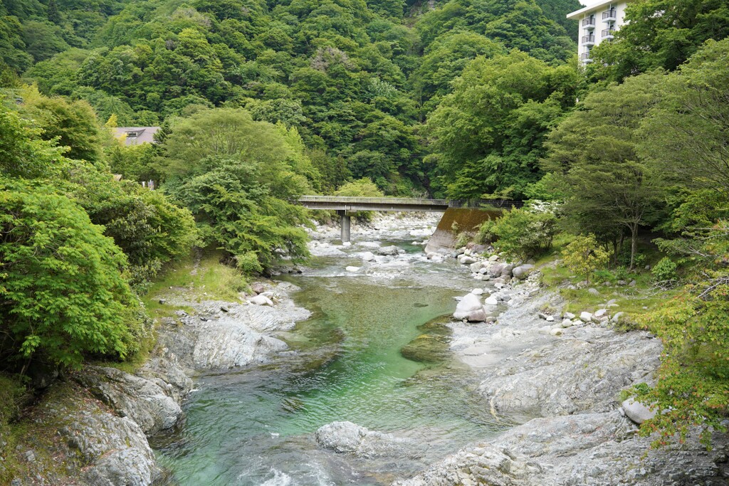 丹沢の渓谷