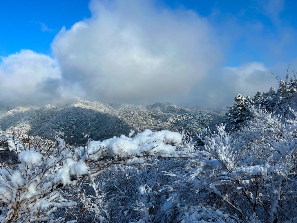 雪山の高尾山
